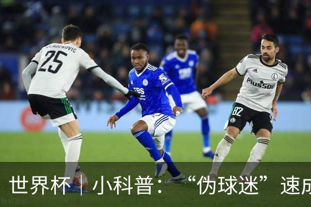 世界杯｜小科普：“伪球迷”速成手册