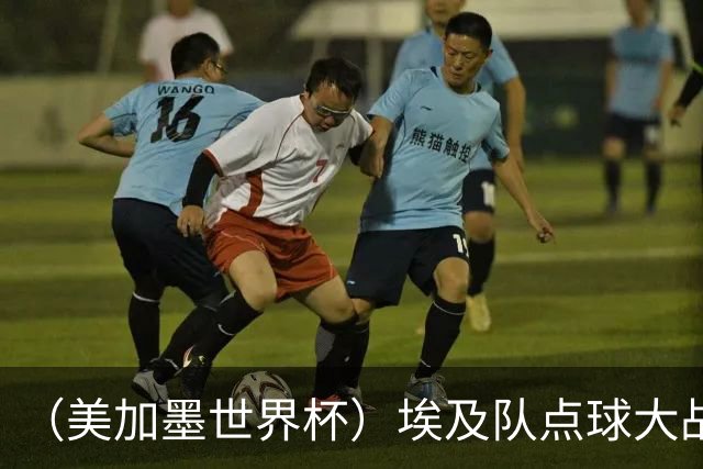 （美加墨世界杯）埃及队点球大战胜澳大利亚队 亚足联队伍全部出局